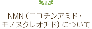 NMN（ニコチンアミド・モノヌクレオチド）について